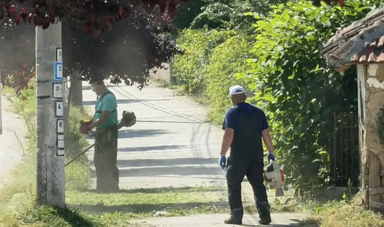 Uređenje zelenog pojasa u Vase Albanca, foto: Radio Svrljig