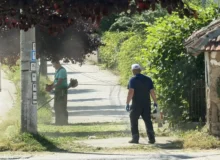 Uređenje zelenog pojasa u Vase Albanca, foto: Radio Svrljig