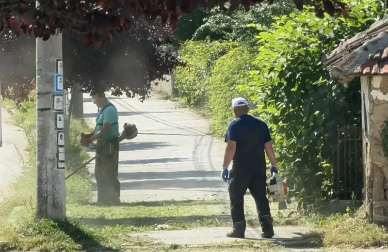 Uređenje zelenog pojasa u Vase Albanca, foto: Radio Svrljig