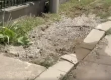 Mesto gde izbija voda iz zemlje, foto: Svrljiške novine, video