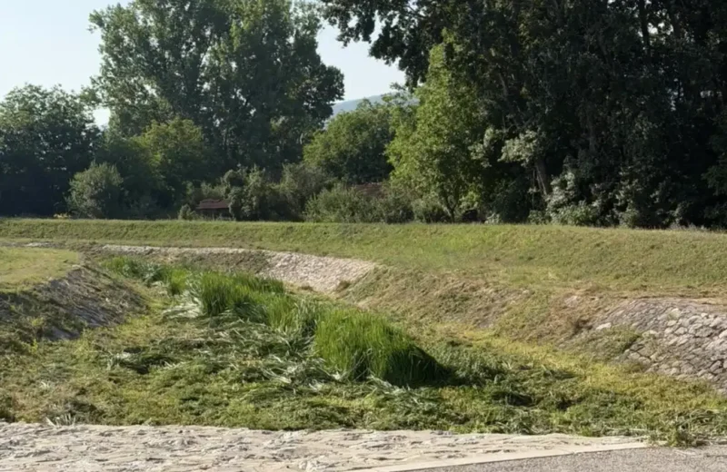 Čišćenje korita, foto: Radio Svrljig