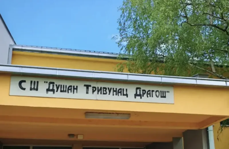 Srednja škola Svrljig