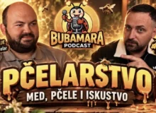 Bubamara Podcast, gost pčelar Mihajlo Stevanović, foto: Marko Bubamara