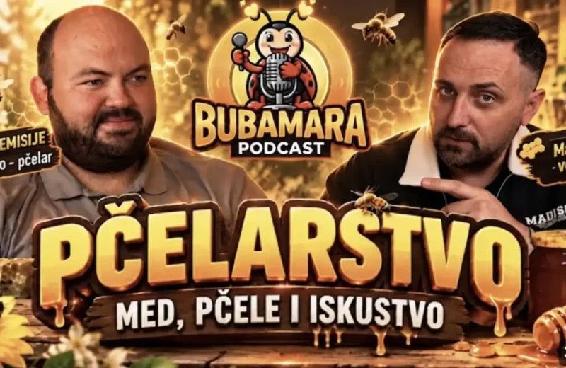 Bubamara Podcast, gost pčelar Mihajlo Stevanović, foto: Marko Bubamara