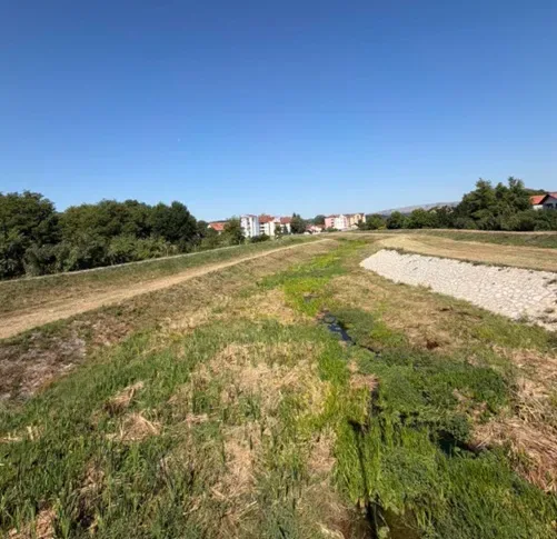 Svrljiški Timok, foto: Radio Svrljig