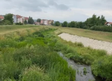 Korito reke, foto: Radio Svrljig