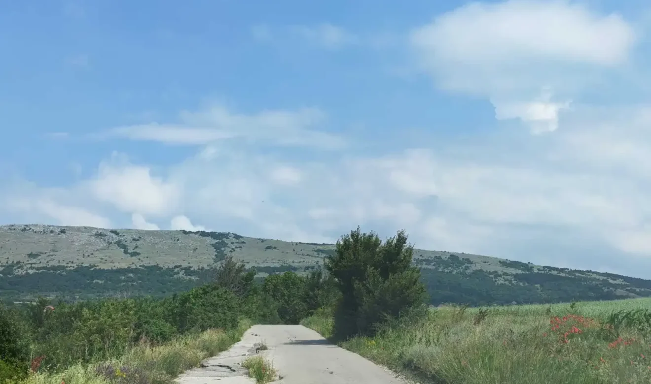 Put do sela Plužina, foto: Radio Svrljig