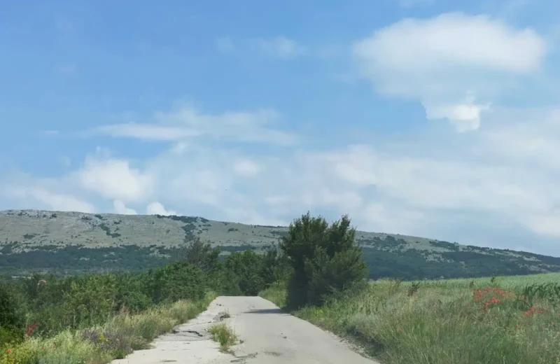 Put do sela Plužina, foto: Radio Svrljig